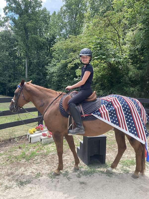 grand-champion-quarter-pony