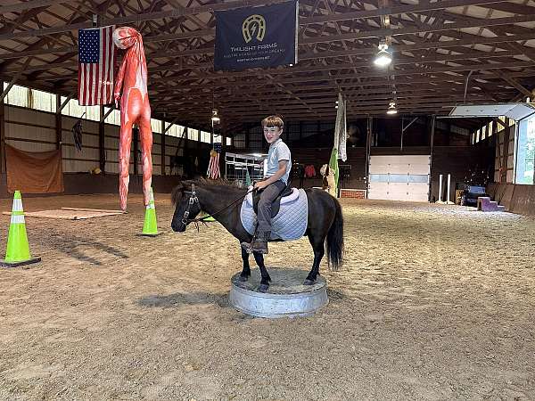 kid-safe-miniature-pony
