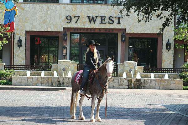 athletic-quarter-horse