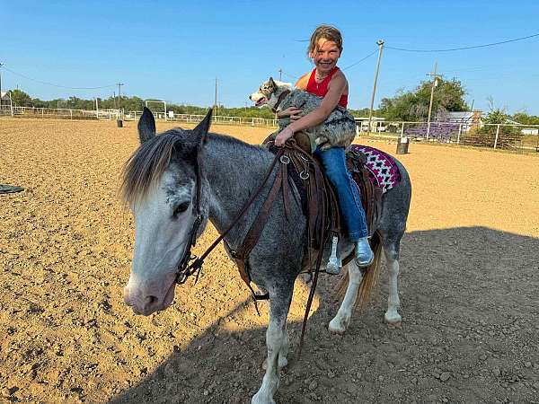 backs-quarter-horse
