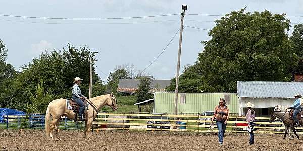 husband-safe-quarter-horse