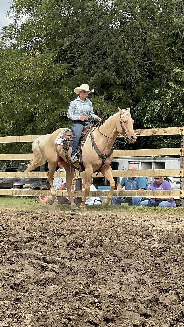 ranch-quarter-horse