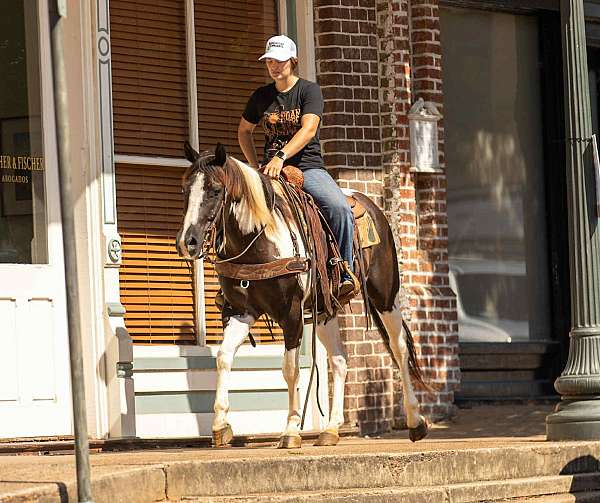 trail-quarter-horse