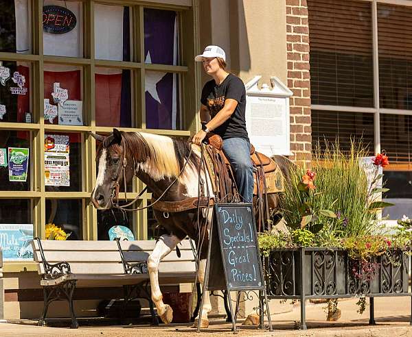 aqha-palomino-quarter-horse