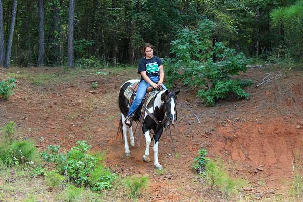 athletic-quarter-horse
