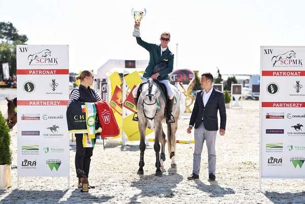 attitude-dutch-warmblood-horse