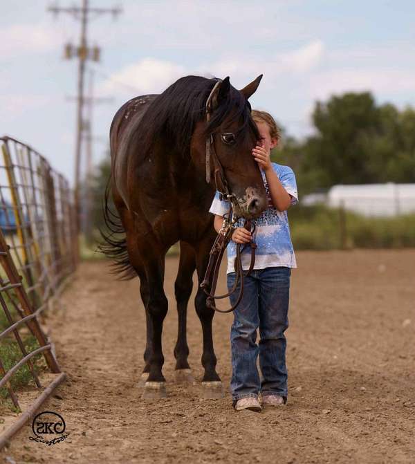 athletic-poa-pony