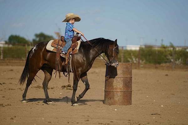 ranch-work-poa-pony