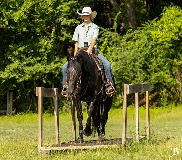 athletic-paint-horse