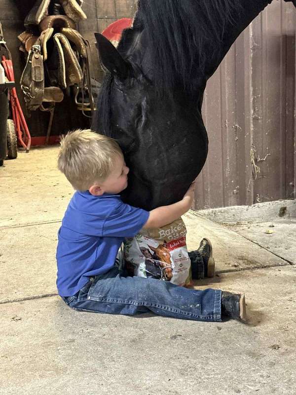 kid-safe-paint-horse