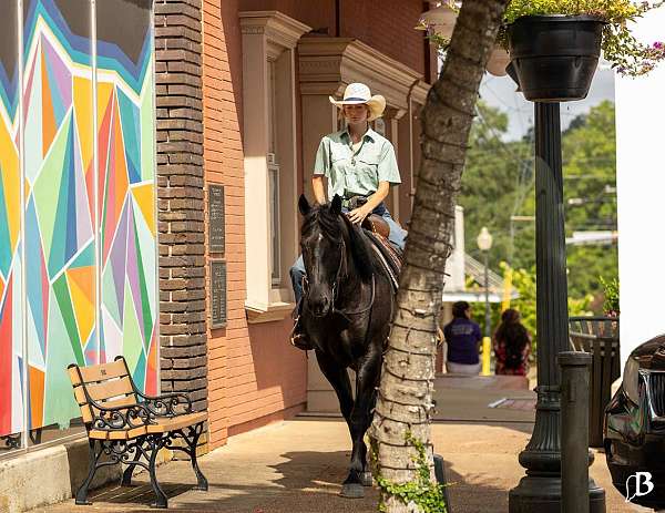 performance-paint-horse