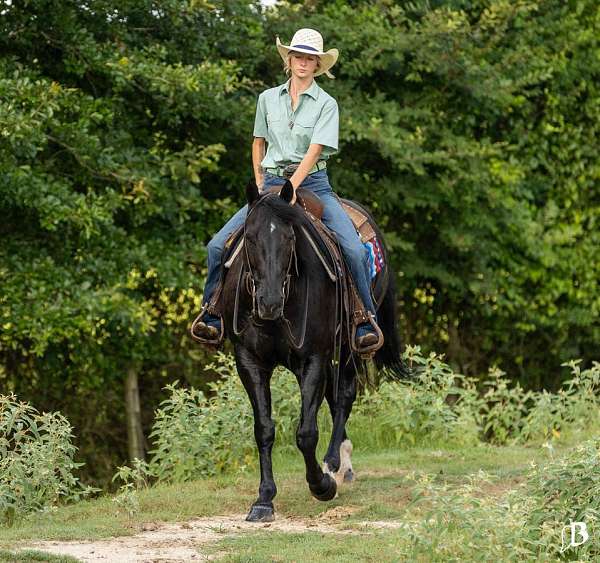roping-paint-horse
