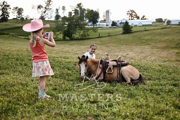 kid-safe-pony