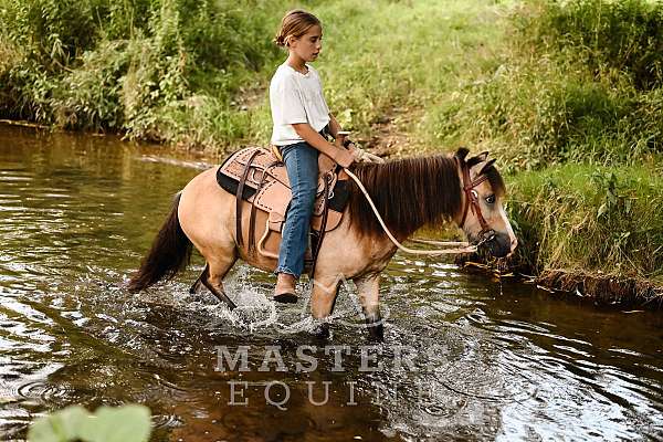 trail-pony