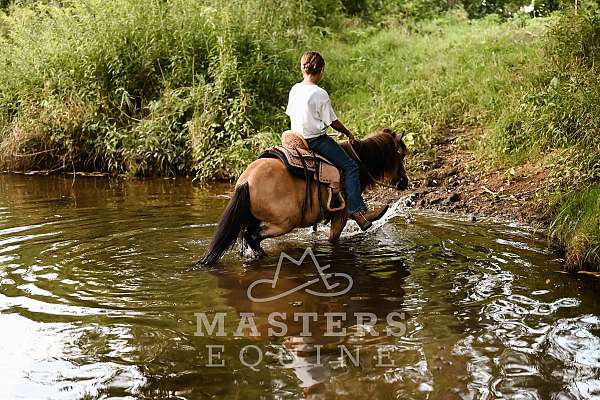 trail-riding-pony