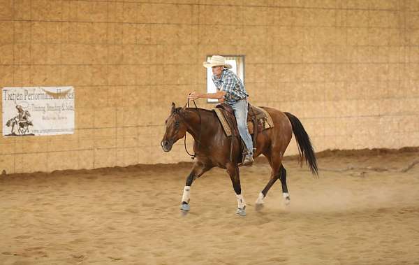ranch-work-quarter-horse