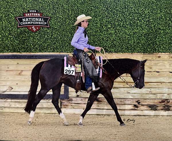 athletic-paint-horse