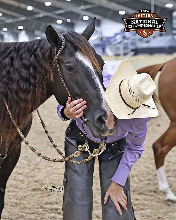 performance-paint-horse