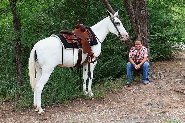 kid-safe-mule
