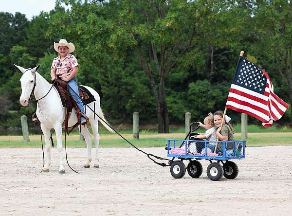 show-mule