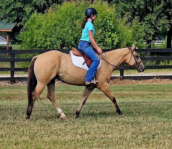 flashy-quarter-horse