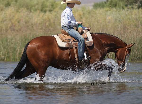 trail-paint-horse