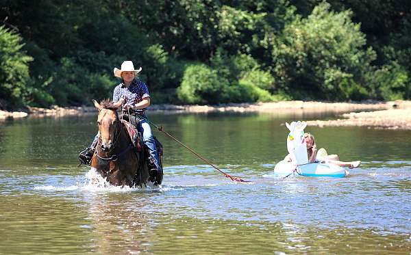 athletic-quarter-horse