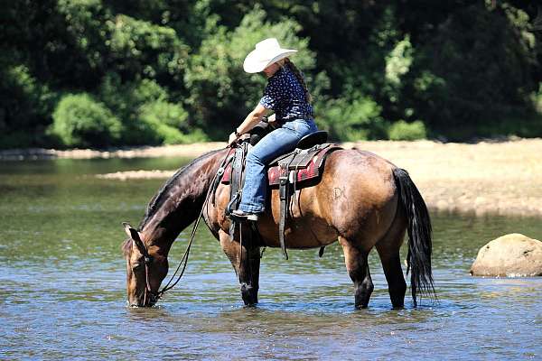 flashy-quarter-horse