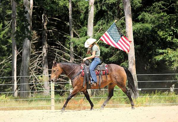 ranch-quarter-horse