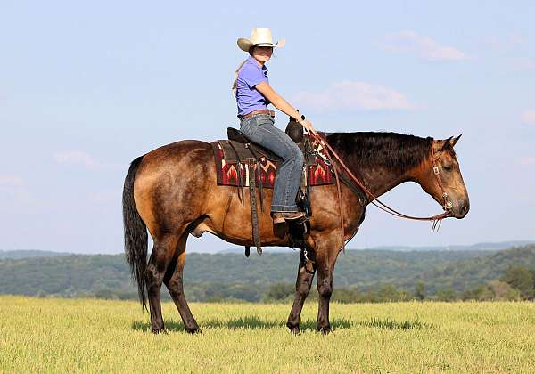 ranch-versatility-quarter-horse