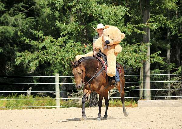 roping-quarter-horse