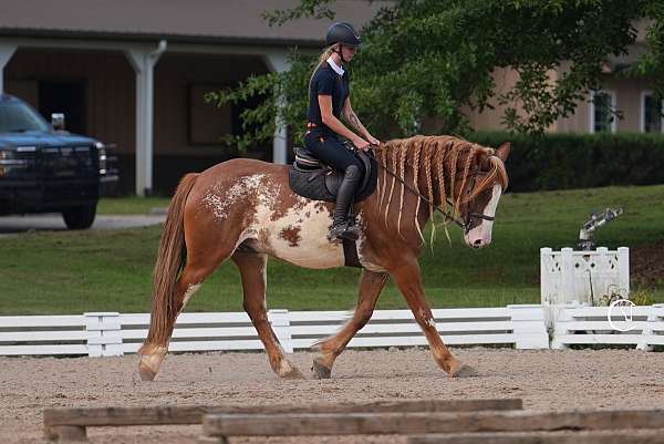 draft-clydesdale-horse