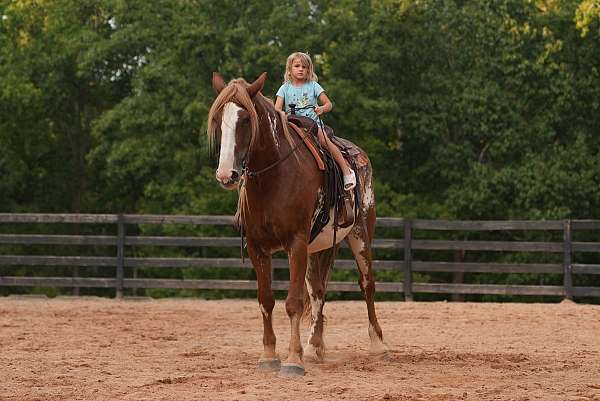 jumping-clydesdale-horse