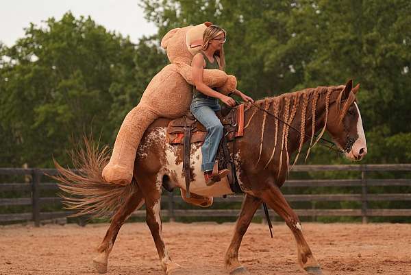kid-safe-clydesdale-horse