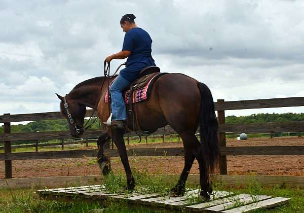 husband-safe-friesian-horse