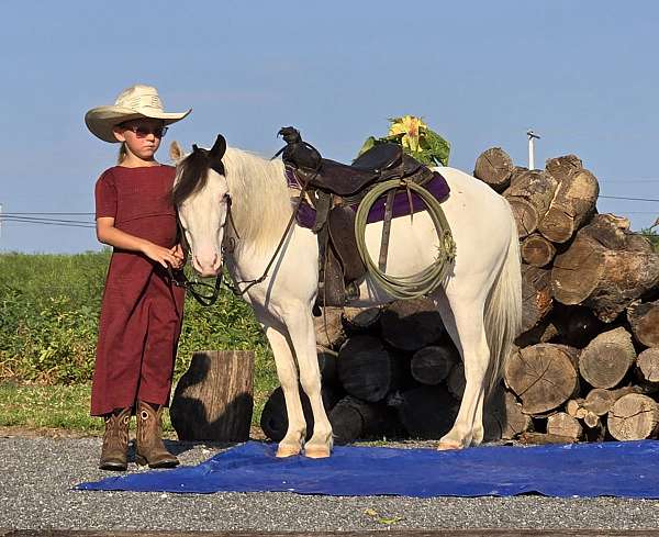 all-around-pony