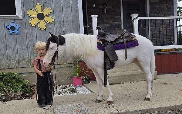 ridden-western-pony