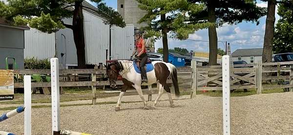 trail-riding-draft-horse