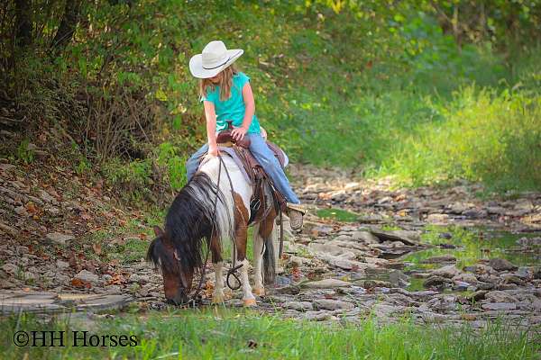 broke-for-anyone-pony