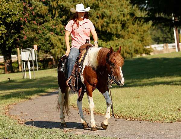 white-all-around-horse