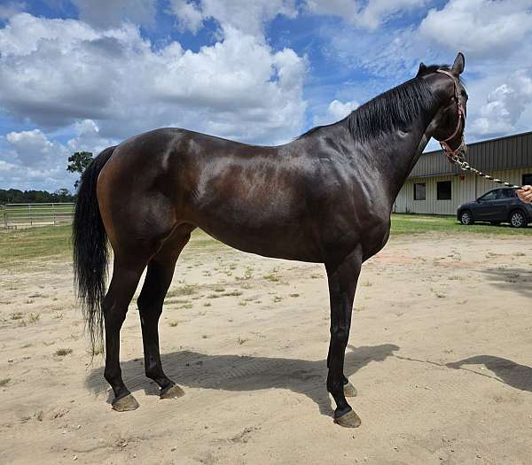 not-restarted-mare