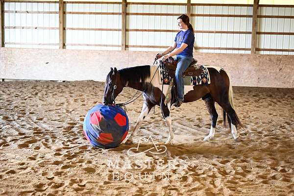 all-around-paint-pony
