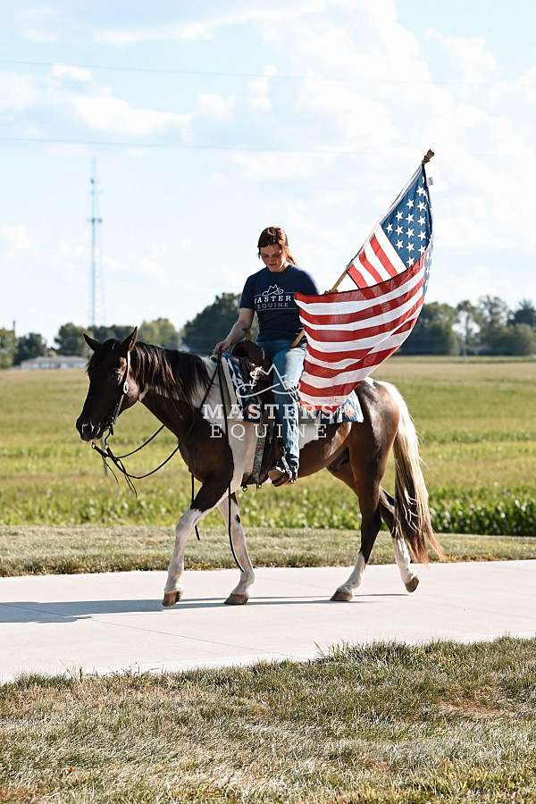athletic-paint-pony