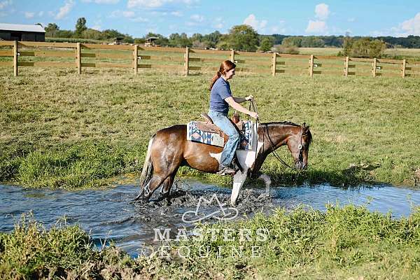 husband-safe-paint-pony