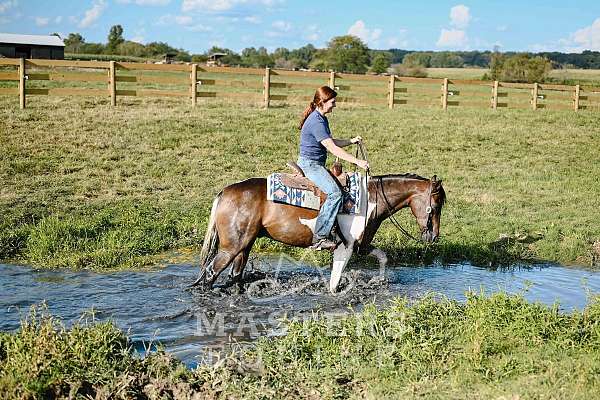 jumper-paint-pony