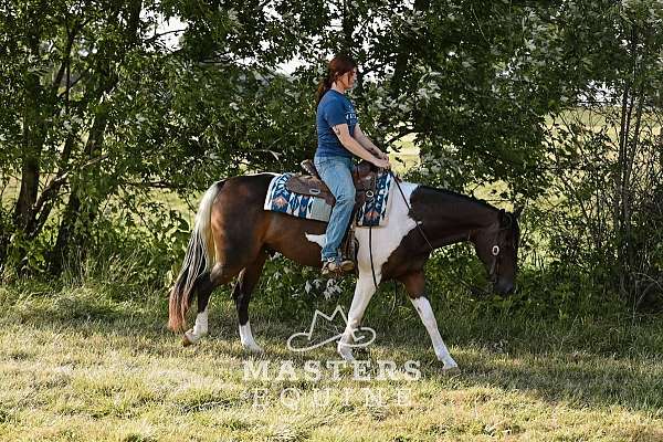 jumping-paint-pony