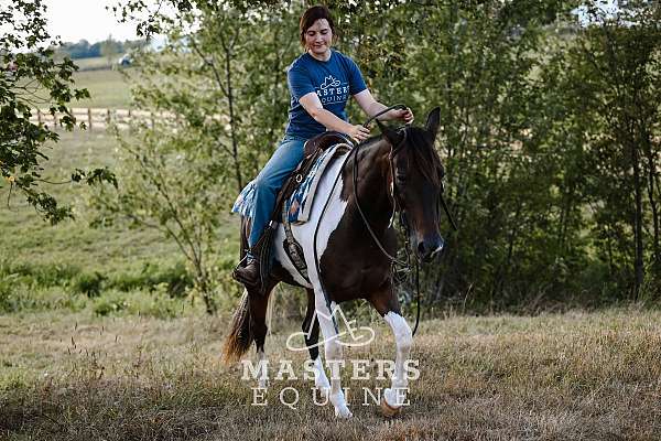 lesson-paint-pony