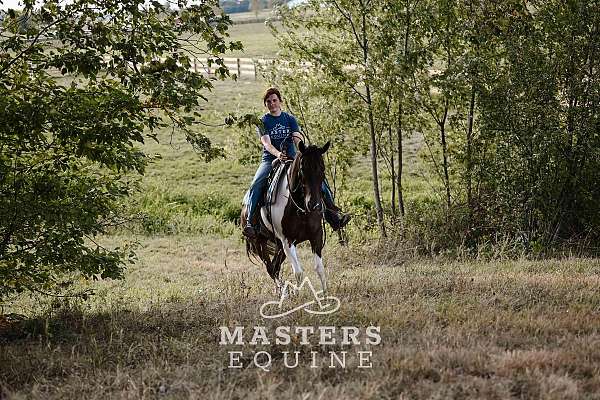natural-ponymanship-training-paint-pony