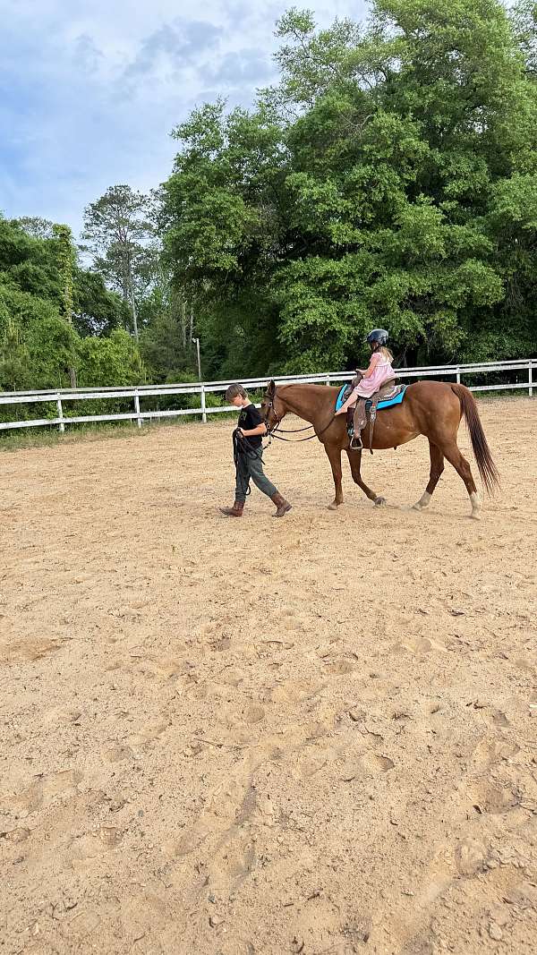 pony