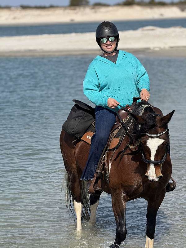tobiano-fei-horse